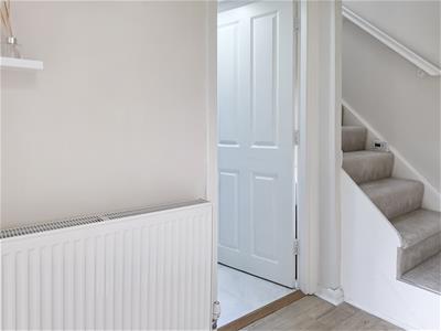 Picture 13